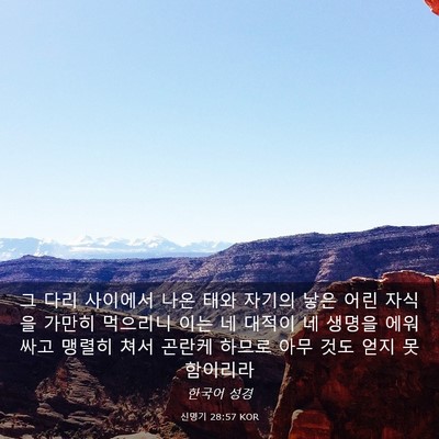 Picture 03 - 신명기 28:57 KOR - 그 다리 사이에서 나온 태와 자기의 - Bible Verse Picture