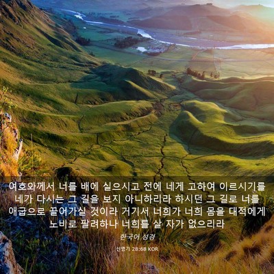 Picture 03 - 신명기 28:68 KOR - 여호와께서 너를 배에 실으시고 전에 - Bible Verse Picture