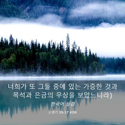 Picture 03 - 신명기 29:17 KOR - 너희가 또 그들 중에 있는 가증한 - Bible Verse Picture