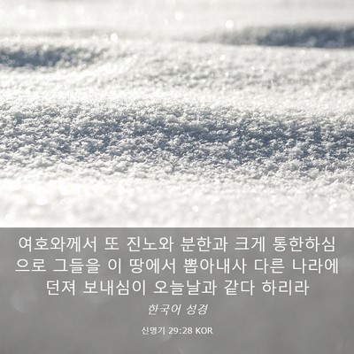 Picture 03 - 신명기 29:28 KOR - 여호와께서 또 진노와 분한과 크게 - Bible Verse Picture