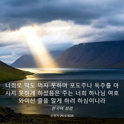 Picture 03 - 신명기 29:6 KOR - 너희로 떡도 먹지 못하며 포도주나 - Bible Verse Picture