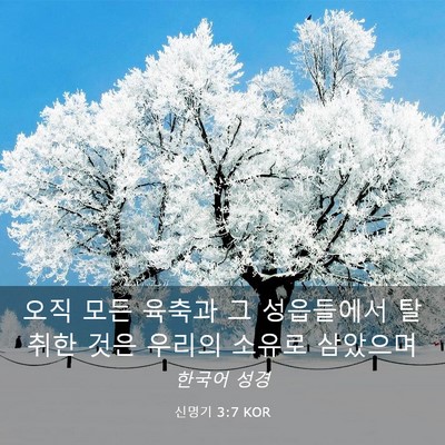 Picture 03 - 신명기 3:7 KOR - 오직 모든 육축과 그 성읍들에서 - Bible Verse Picture