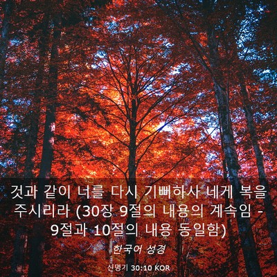 Picture 03 - 신명기 30:10 KOR - 것과 같이 너를 다시 기뻐하사 네게 - Bible Verse Picture