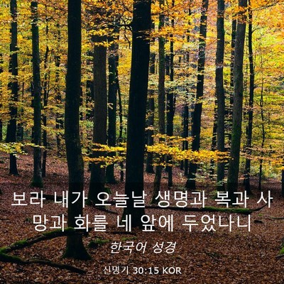 Picture 03 - 신명기 30:15 KOR - 보라 내가 오늘날 생명과 복과 - Bible Verse Picture