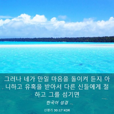 Picture 03 - 신명기 30:17 KOR - 그러나 네가 만일 마음을 돌이켜 - Bible Verse Picture