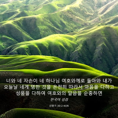 Picture 03 - 신명기 30:2 KOR - 너와 네 자손이 네 하나님 - Bible Verse Picture