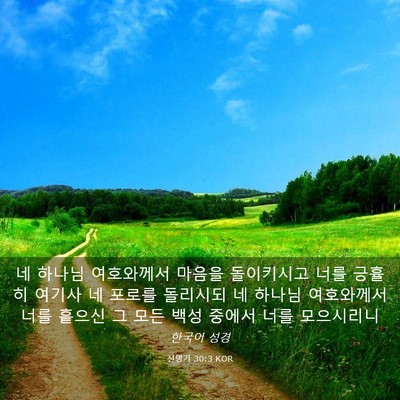 Picture 03 - 신명기 30:3 KOR - 네 하나님 여호와께서 마음을 - Bible Verse Picture