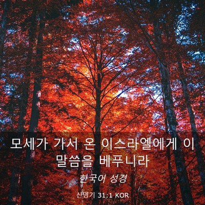 Picture 03 - 신명기 31:1 KOR - 모세가 가서 온 이스라엘에게 이 - Bible Verse Picture