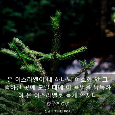 Picture 03 - 신명기 31:11 KOR - 온 이스라엘이 네 하나님 여호와 앞 - Bible Verse Picture