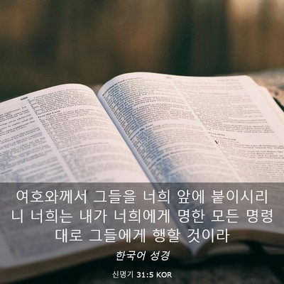 Picture 03 - 신명기 31:5 KOR - 여호와께서 그들을 너희 앞에 - Bible Verse Picture