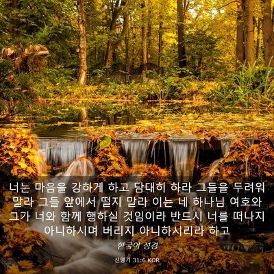 Picture 03 - 신명기 31:6 KOR - 너는 마음을 강하게 하고 담대히 - Bible Verse Picture