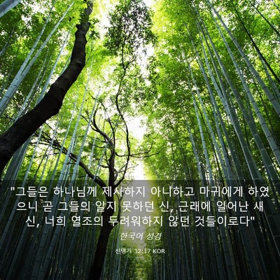 Picture 03 - 신명기 32:17 KOR - 