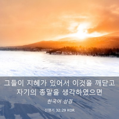 Picture 03 - 신명기 32:29 KOR - 그들이 지혜가 있어서 이것을 깨닫고 - Bible Verse Picture