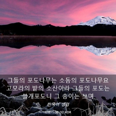 Picture 03 - 신명기 32:32 KOR - 그들의 포도나무는 소돔의 - Bible Verse Picture