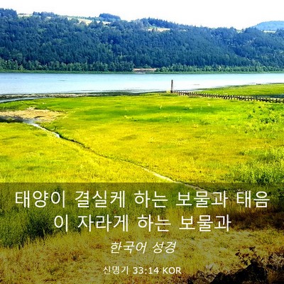 Picture 03 - 신명기 33:14 KOR - 태양이 결실케 하는 보물과 태음이 - Bible Verse Picture