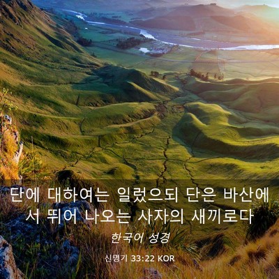 Picture 03 - 신명기 33:22 KOR - 단에 대하여는 일렀으되 단은 - Bible Verse Picture
