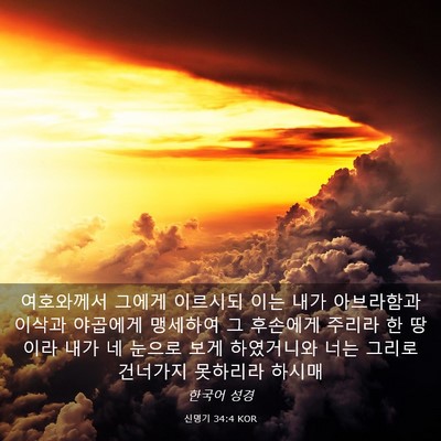Picture 03 - 신명기 34:4 KOR - 여호와께서 그에게 이르시되 이는 - Bible Verse Picture