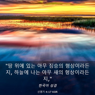 Picture 03 - 신명기 4:17 KOR - 