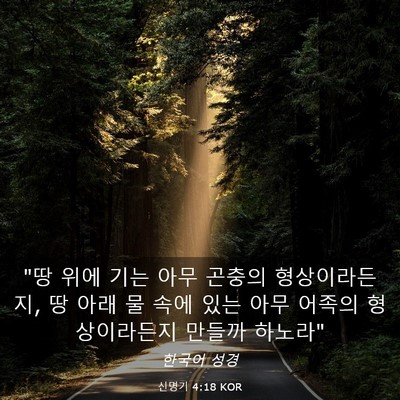 Picture 03 - 신명기 4:18 KOR - 