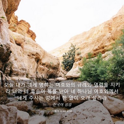 Picture 03 - 신명기 4:40 KOR - 오늘 내가 네게 명하는 여호와의 - Bible Verse Picture