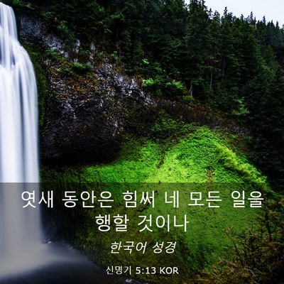 Picture 03 - 신명기 5:13 KOR - 엿새 동안은 힘써 네 모든 일을 행할 - Bible Verse Picture