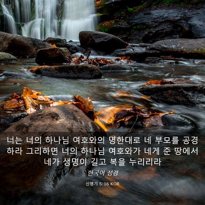 Picture 03 - 신명기 5:16 KOR - 너는 너의 하나님 여호와의 명한대로 - Bible Verse Picture