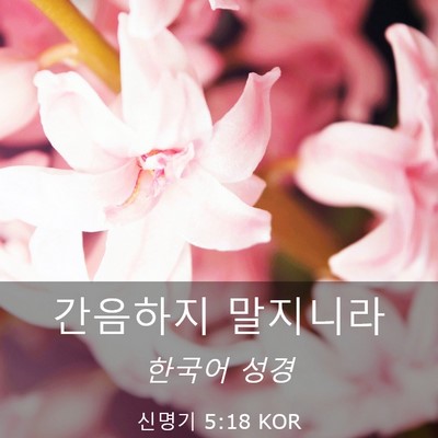 Picture 03 - 신명기 5:18 KOR - 간음하지 - Bible Verse Picture