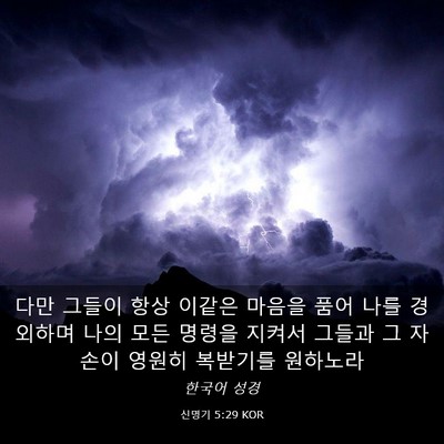 Picture 03 - 신명기 5:29 KOR - 다만 그들이 항상 이같은 마음을 - Bible Verse Picture
