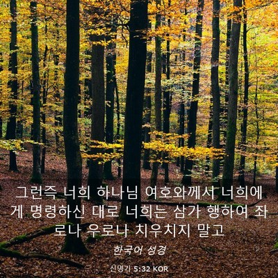 Picture 03 - 신명기 5:32 KOR - 그런즉 너희 하나님 여호와께서 - Bible Verse Picture