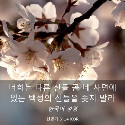 Picture 03 - 신명기 6:14 KOR - 너희는 다른 신들 곧 네 사면에 있는 - Bible Verse Picture