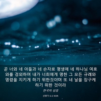 Picture 03 - 신명기 6:2 KOR - 곧 너와 네 아들과 네 손자로 평생에 - Bible Verse Picture
