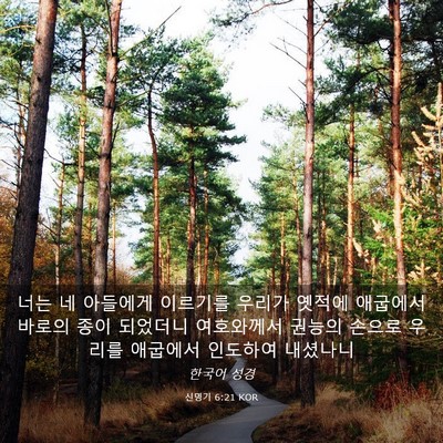 Picture 03 - 신명기 6:21 KOR - 너는 네 아들에게 이르기를 우리가 - Bible Verse Picture