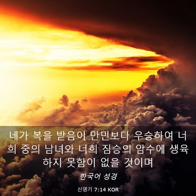 Picture 03 - 신명기 7:14 KOR - 네가 복을 받음이 만민보다 우승하여 - Bible Verse Picture
