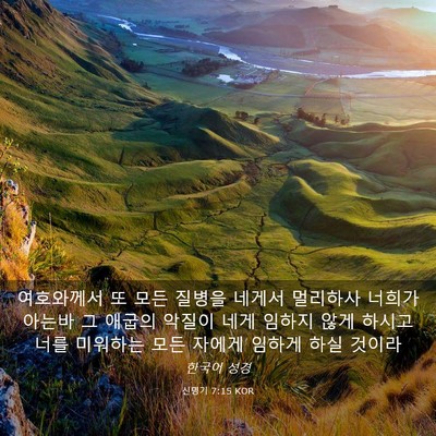 Picture 03 - 신명기 7:15 KOR - 여호와께서 또 모든 질병을 네게서 - Bible Verse Picture