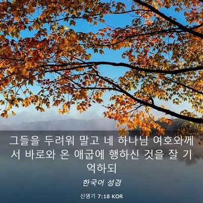Picture 03 - 신명기 7:18 KOR - 그들을 두려워 말고 네 하나님 - Bible Verse Picture