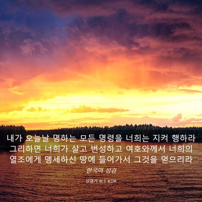 Picture 03 - 신명기 8:1 KOR - 내가 오늘날 명하는 모든 명령을 - Bible Verse Picture