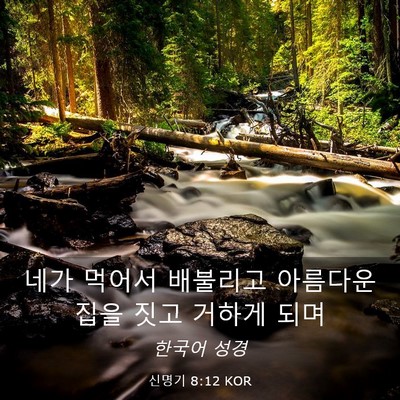 Picture 03 - 신명기 8:12 KOR - 네가 먹어서 배불리고 아름다운 집을 - Bible Verse Picture
