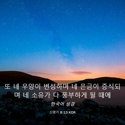 Picture 03 - 신명기 8:13 KOR - 또 네 우양이 번성하며 네 은금이 - Bible Verse Picture