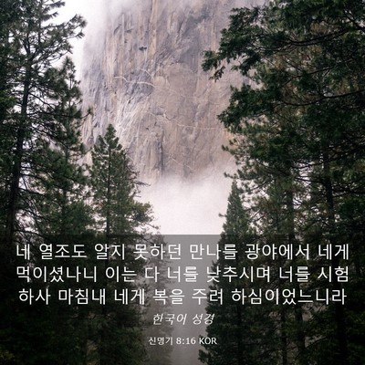Picture 03 - 신명기 8:16 KOR - 네 열조도 알지 못하던 만나를 - Bible Verse Picture