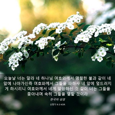 Picture 03 - 신명기 9:3 KOR - 오늘날 너는 알라 네 하나님 - Bible Verse Picture