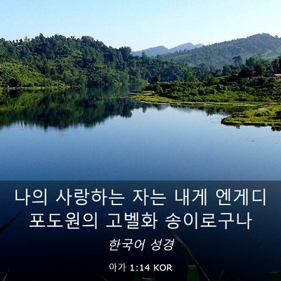 Picture 03 - 아가 1:14 KOR - 나의 사랑하는 자는 내게 엔게디 - Bible Verse Picture