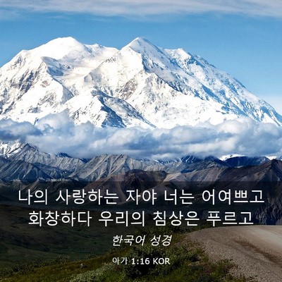 Picture 03 - 아가 1:16 KOR - 나의 사랑하는 자야 너는 어여쁘고 - Bible Verse Picture