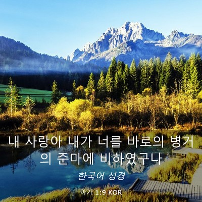 Picture 03 - 아가 1:9 KOR - 내 사랑아 내가 너를 바로의 병거의 - Bible Verse Picture