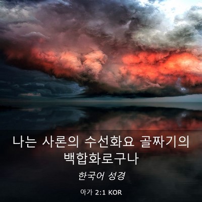 Picture 03 - 아가 2:1 KOR - 나는 사론의 수선화요 골짜기의 - Bible Verse Picture