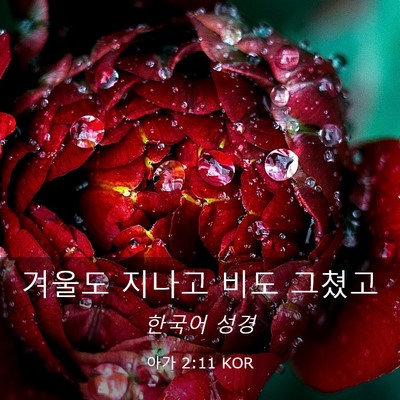 Picture 03 - 아가 2:11 KOR - 겨울도 지나고 비도 - Bible Verse Picture