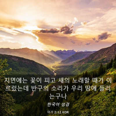 Picture 03 - 아가 2:12 KOR - 지면에는 꽃이 피고 새의 노래할 - Bible Verse Picture