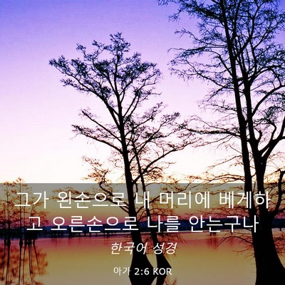 Picture 03 - 아가 2:6 KOR - 그가 왼손으로 내 머리에 베게하고 - Bible Verse Picture
