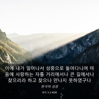 Picture 03 - 아가 3:2 KOR - 이에 내가 일어나서 성중으로 - Bible Verse Picture