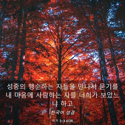 Picture 03 - 아가 3:3 KOR - 성중의 행순하는 자들을 만나서 - Bible Verse Picture