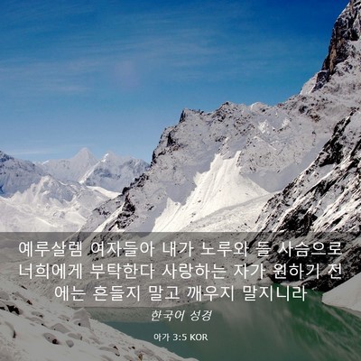 Picture 03 - 아가 3:5 KOR - 예루살렘 여자들아 내가 노루와 들 - Bible Verse Picture